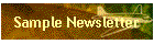 Sample Newsletter