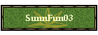 SunnFun03
